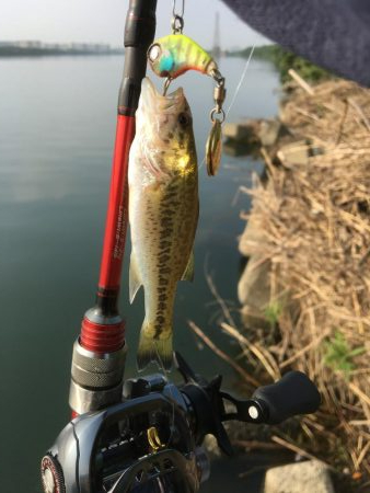 小バスに癒されて