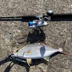 ショアジギング