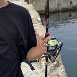 新タックル出陣