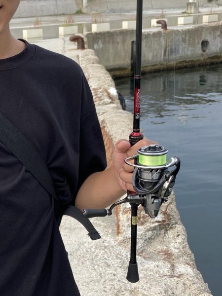 新タックル出陣