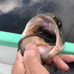 真夏の津風呂攻略