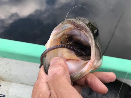 真夏の津風呂攻略