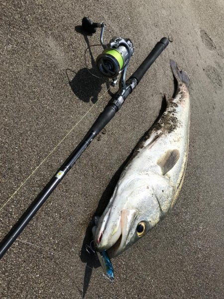 炎天下ランカーシーバス