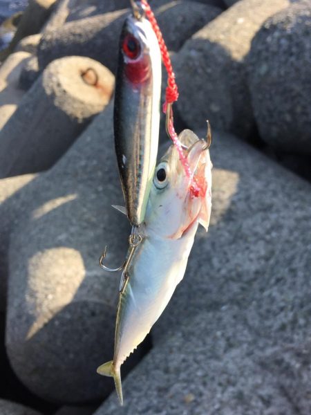 まだまだ修行。