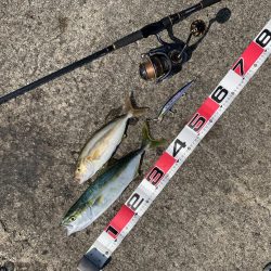 ショアジギング