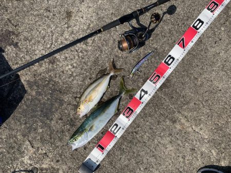 ショアジギング