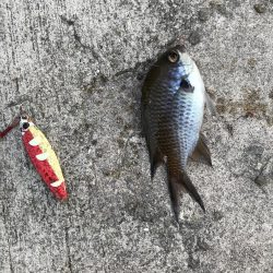 久しぶりの無風