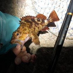 教訓 いつもタモは手元に