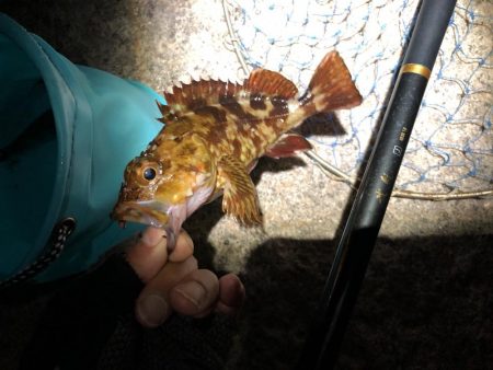 教訓 いつもタモは手元に