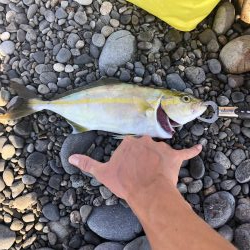 初ジギング粘り勝ち