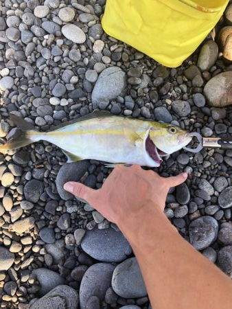 初ジギング粘り勝ち