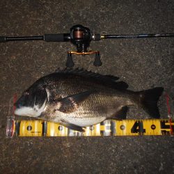 暑いよね～(汗)