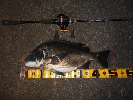 暑いよね～(汗)