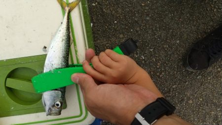 ファミリーフィッシング