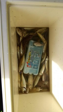 ファミリーフィッシング