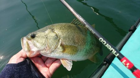 表層ではかなり渋くなってきました