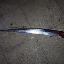 今年初のタチウオ釣行