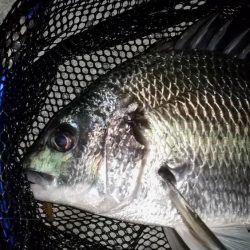 ガレ場のボトムで