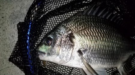 ガレ場のボトムで