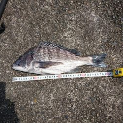 いろいろ来ました