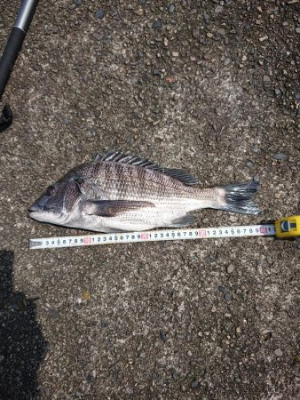 いろいろ来ました