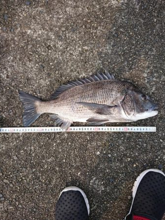 こんだけ釣れたらおもろー