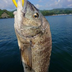 ついに年無しｹﾞﾄ