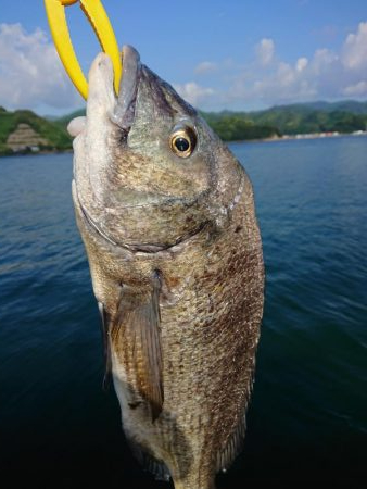 ついに年無しｹﾞﾄ