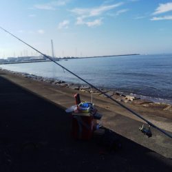 少しだけキス釣り