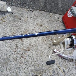 苅屋でキス釣り