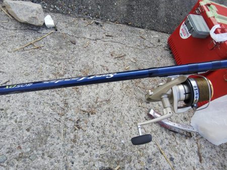 苅屋でキス釣り