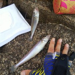 今日は良い日「大塩海岸」