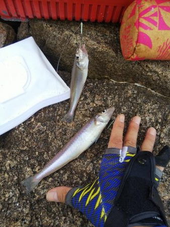 今日は良い日「大塩海岸」