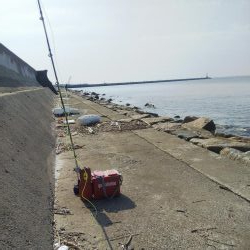 苅屋でキス釣り