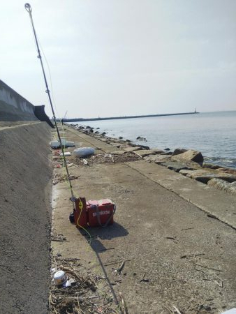 苅屋でキス釣り