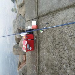 苅屋海岸のキス釣り