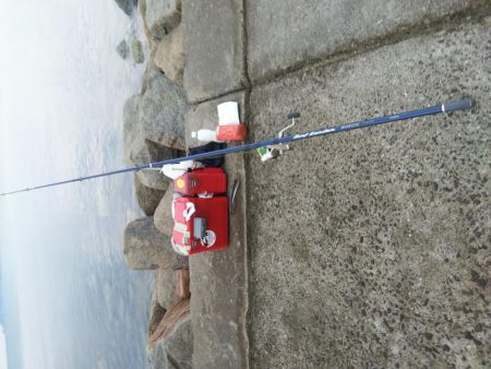 苅屋海岸のキス釣り
