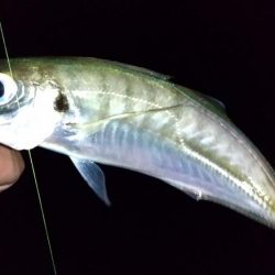 自作フロートでなんちゃって電気ウキ仕掛け