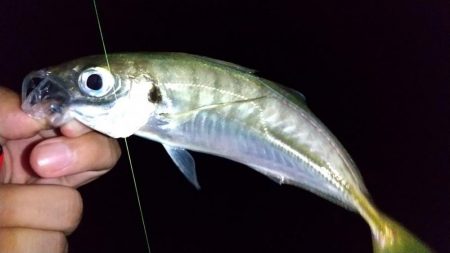 自作フロートでなんちゃって電気ウキ仕掛け