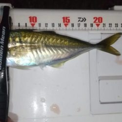 フロートアジング