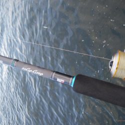 ショアジギングで青物狙い