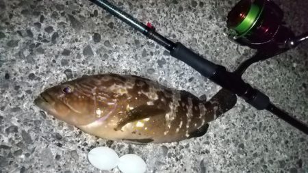 ルアー、エサで5目達成！