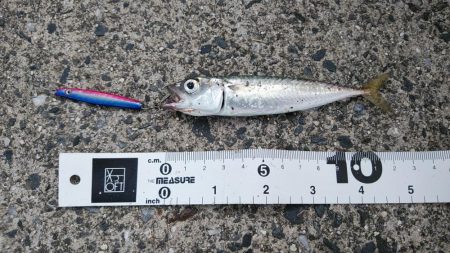 大雨の影響か……？