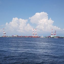 ぶらコスモ！！