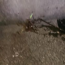 キロアップに10g足りず