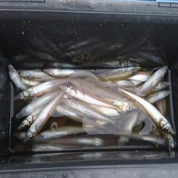 こんな日もあんだな 2