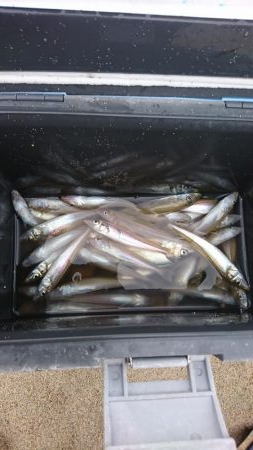 こんな日もあんだな 2