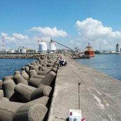 高砂港でキス連投