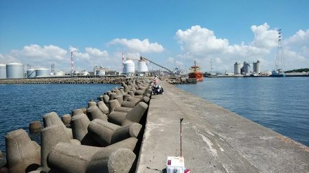 高砂港でキス連投