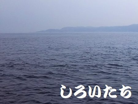 帰省に大サバ釣って持って行くわ！と言ったものの・・・